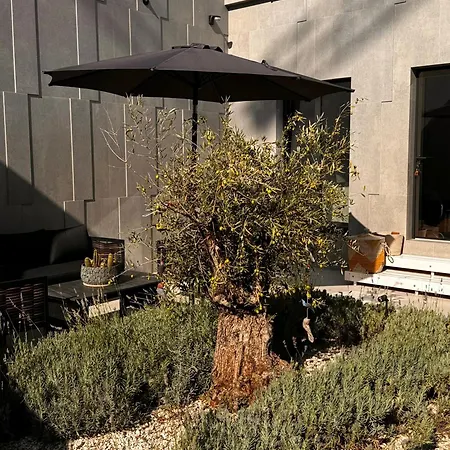 Bed & Breakfast Azure Serinitry Garden Potirna